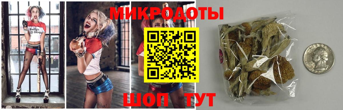 где найти   Вход с VPN  Партизанск  Псилоцибиновые грибы MAGIC MUSHROOMS 